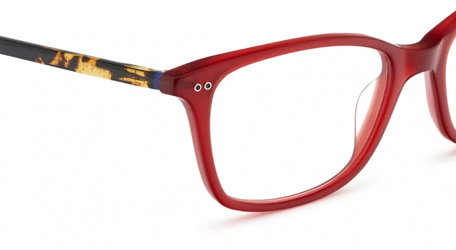 Etnia Barcelona Vintage ROSES Eyeglasses - view 19